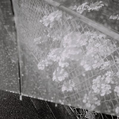 忘れないうちに