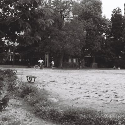街中の公園