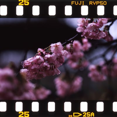 しっとり