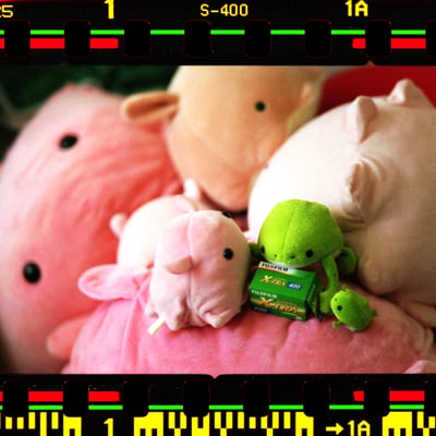 家族とフィルム