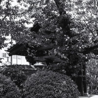 興福寺