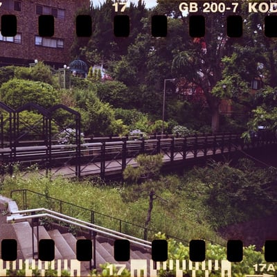 港が見える丘公園からフランス山へ