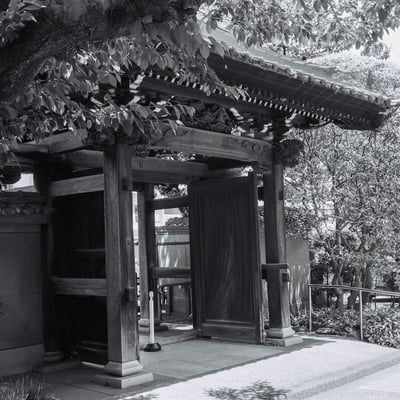 興福寺