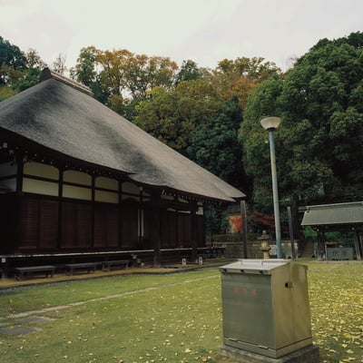 横浜 藁葺き屋根