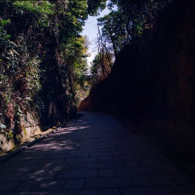 猿島