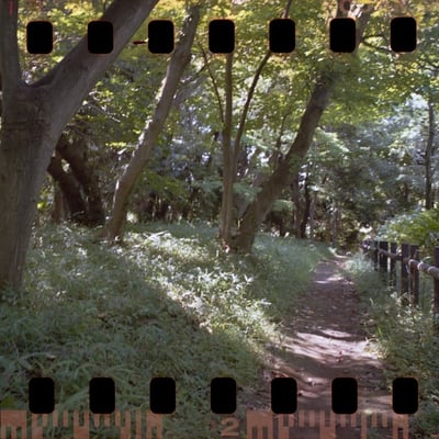 豊顕寺