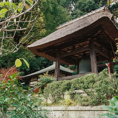 横浜 秋 お寺散策