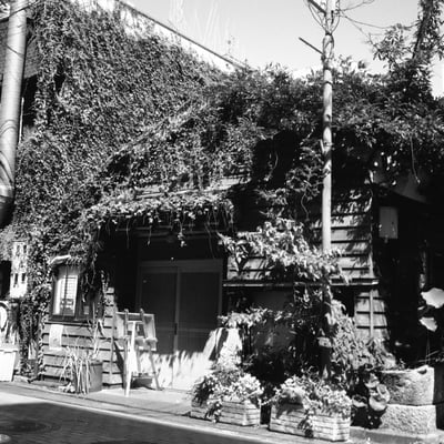 野毛散策