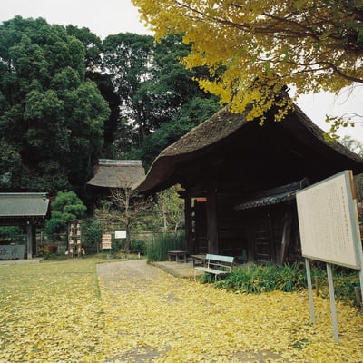 横浜 秋 散策
