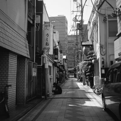 ノゲ