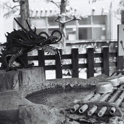 手水舎の龍