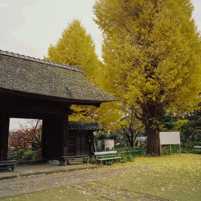 横浜 秋 巡り