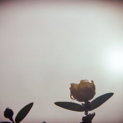 HOLGA 135BC