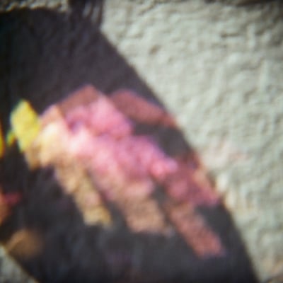 光に透けた色