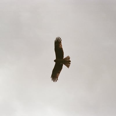 空をゆく