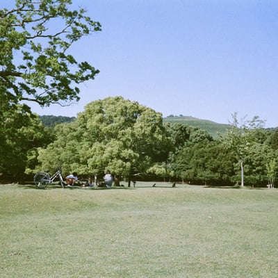 木陰で練習