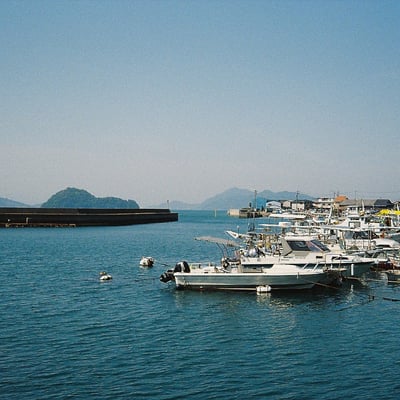 harbor