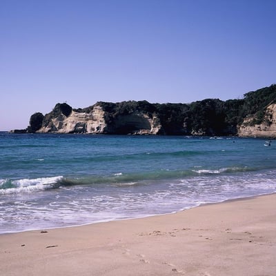 海