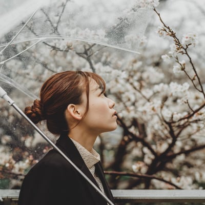 Between Rain and Blossom