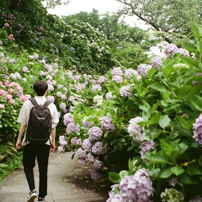 静岡/下田公園