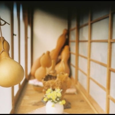 ZEISS IKON Contax IIa／Zeiss-Opton　Biogon35mmF2.8T　