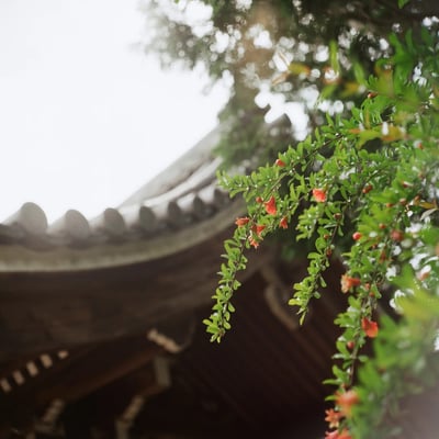 祐国寺