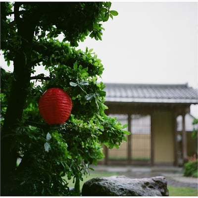 赤提灯
