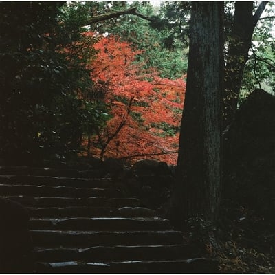 秋よ来い