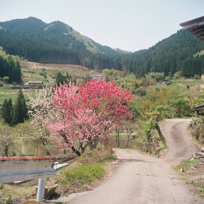 明宝村