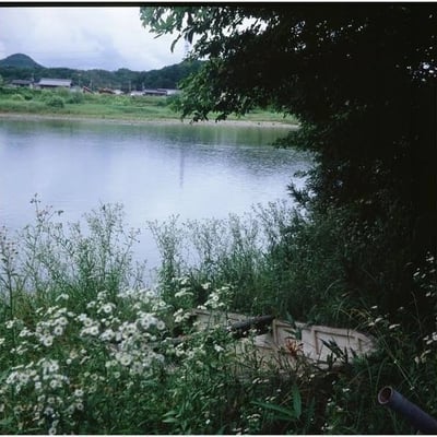 長良川河畔　