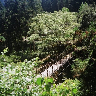 神崎川