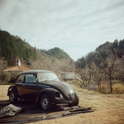 黒いカブトムシ