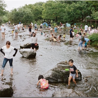 夏の日