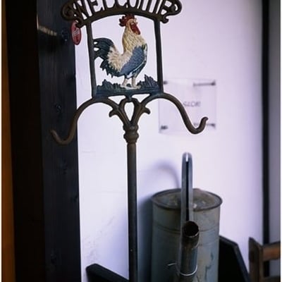 ZEISS IKON Contax IIa　／　Opton　Biogon35mmF2.8T　