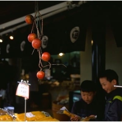 　ZEISS IKON Contax IIa　／　Opton　Biogon35mmF2.8T