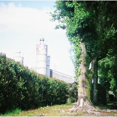 光景