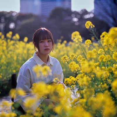 西陽と菜の花