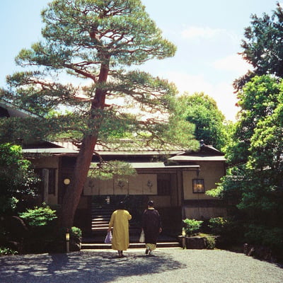 背中の姿