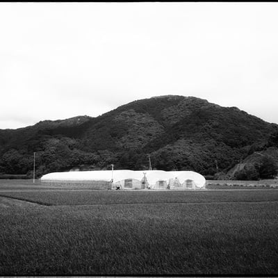 2016.7.24　ビニールハウスのある風景