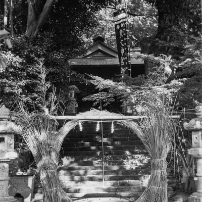 夏越の祭り