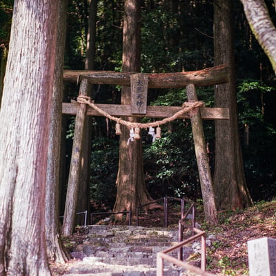 湖畔の神社