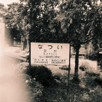 暑い夏井