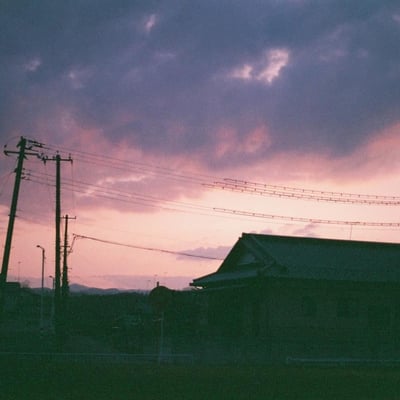淡淡しい