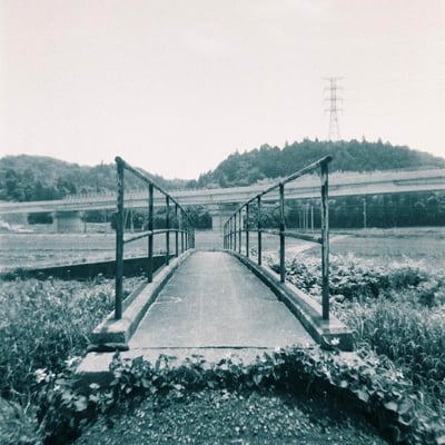 夏の架け橋