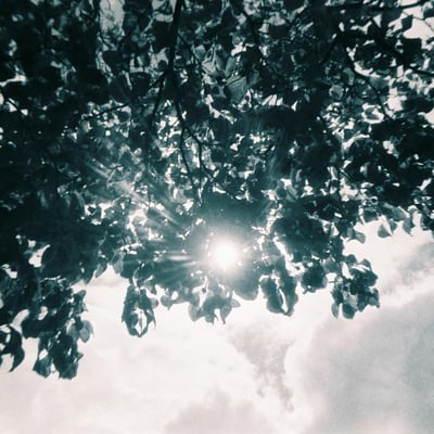 夏照