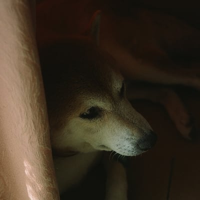 その目はどこに