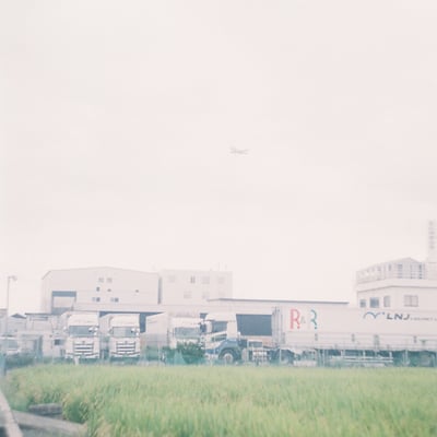 青い秋