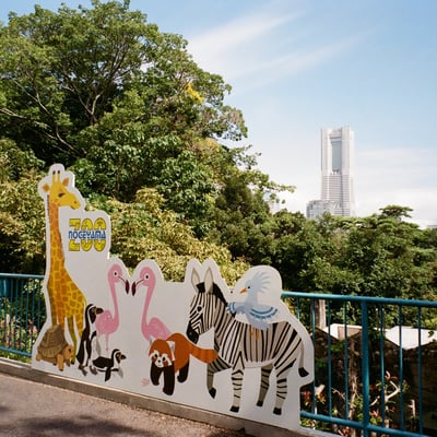 野毛山動物園