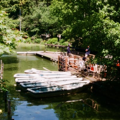 🛥️