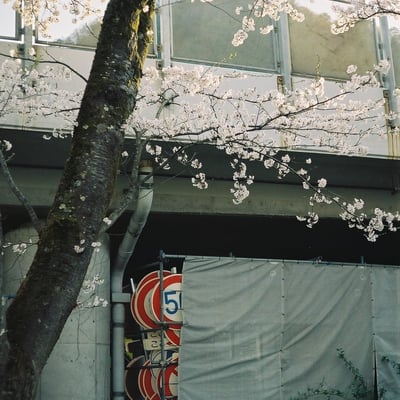 Days in Film #47